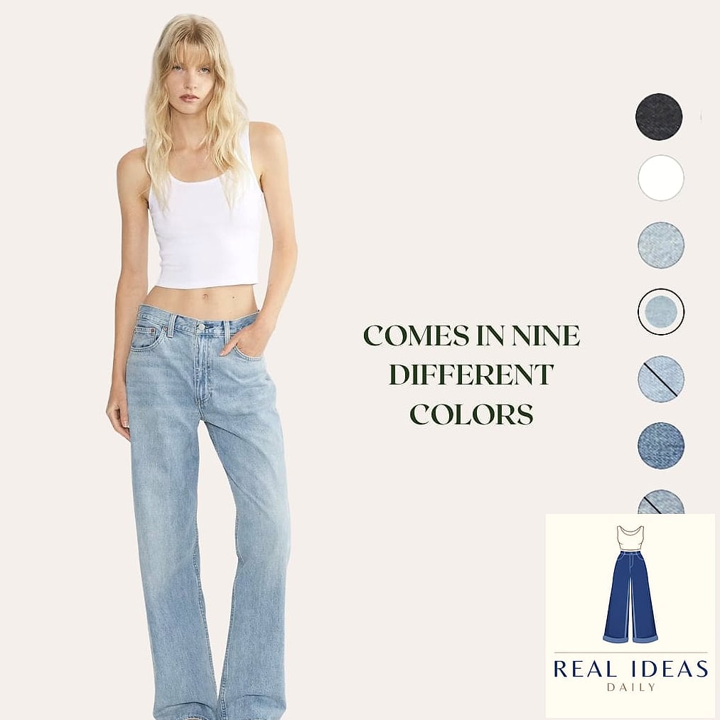 Aritzia Melina Baggy Jean